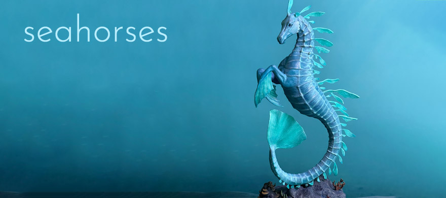 Seahorses