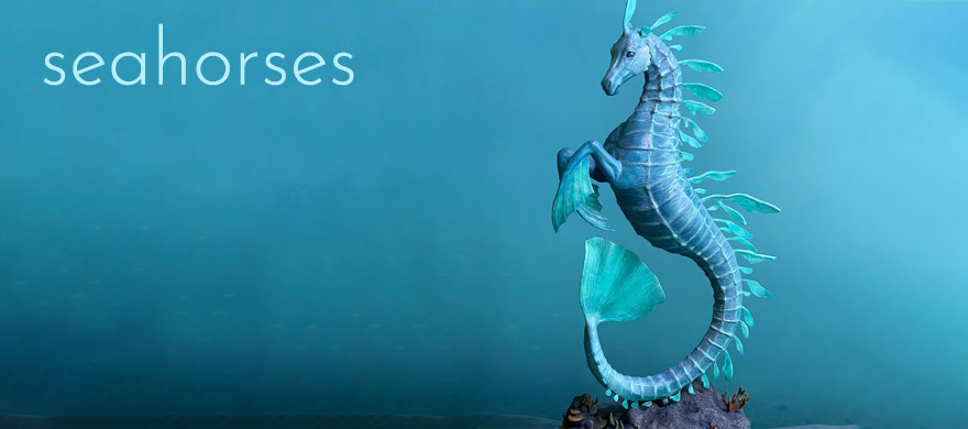 Seahorses