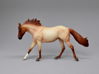 Red Roan Moxie