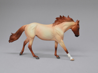 Red Roan Moxie